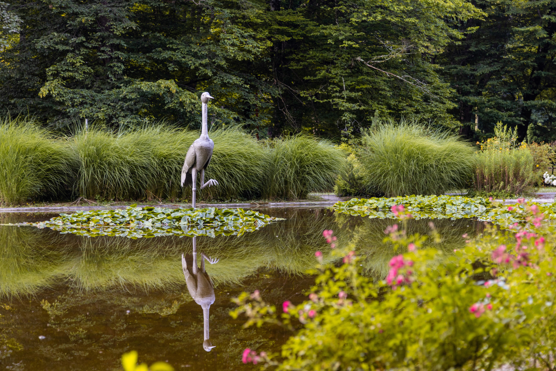 zdral miljenko hegedic