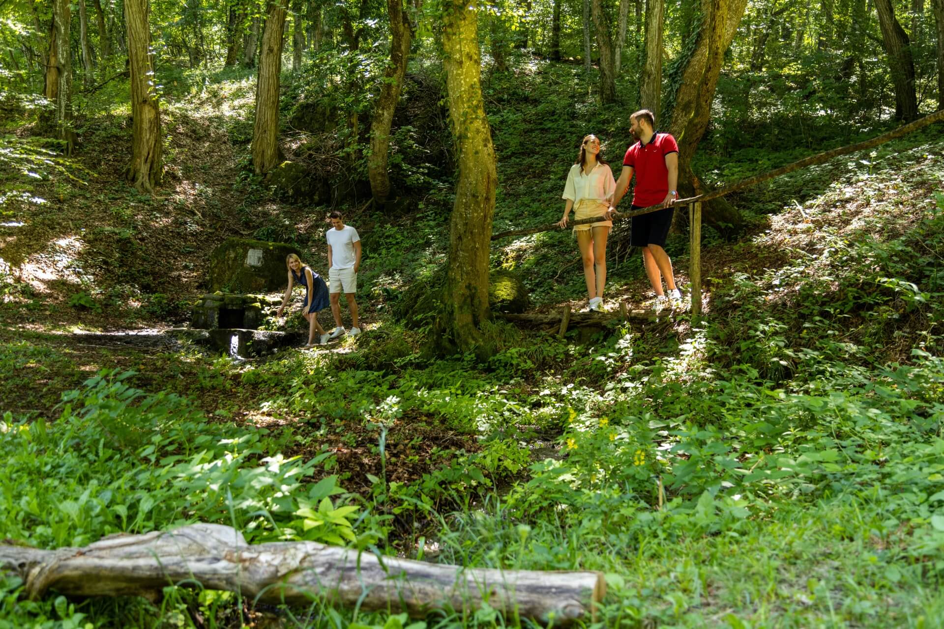 Poučna staza Rimska park šuma 